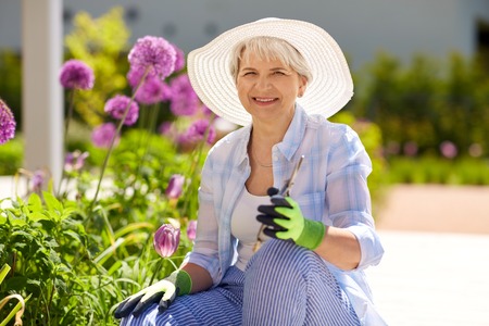 Zäune als Gartenabgrenzung: Materialauswahl, rechtliche Aspekte und Aufbauanleitung in Deutschland