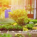 Bachlauf gestalten: Von der Quelle bis zur Mündung – Tipps für authentische Wasserläufe