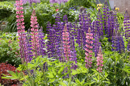 Gabionen im Garten: Stilvolle und langlebige Sichtschutzlösungen für verschiedene Gartengrößen