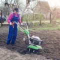 Schädlinge und Nützlinge im Beet erkennen und fördern – kindgerechte Erklärungen