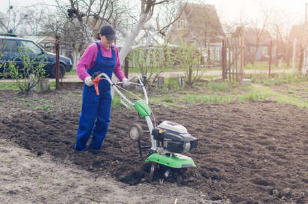 Schädlinge und Nützlinge im Beet erkennen und fördern – kindgerechte Erklärungen