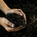 Wie Kinder im eigenen Garten spielerisch die Natur erleben – Konzepte und Praxisbeispiele