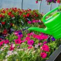 Mähtechniken im Überblick: Von Handbetrieb bis High-Tech-Lösung