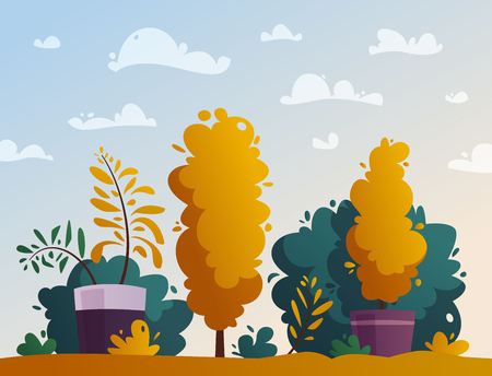 Pflege der Pflanzen vor und während der Ernte