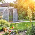 Heimische Gehölze und ihre Bedeutung für die Biodiversität im eigenen Garten