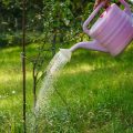 Vorbereitung des Gartens im Frühling: Bodenarbeit, Kompostierung und Planung