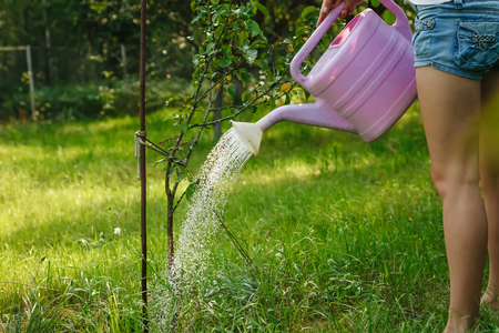 Vorbereitung des Gartens im Frühling: Bodenarbeit, Kompostierung und Planung