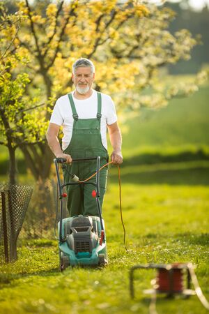 Kompostierung zu Hause: Kreislaufwirtschaft im eigenen Garten effektiv umsetzen