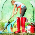 Offene Gartenpforte als Brücke zur Biodiversität: Exemplarische Beispiele aus deutschen Gärten
