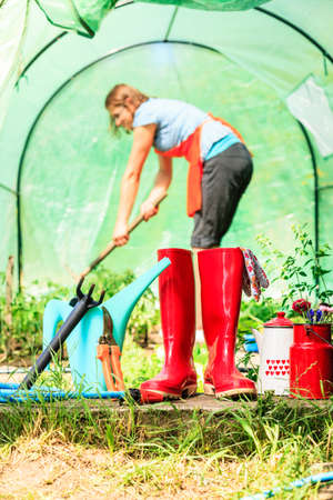 Offene Gartenpforte als Brücke zur Biodiversität: Exemplarische Beispiele aus deutschen Gärten