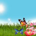 Aussaat und Anzucht: Gemüsegarten im Frühling erfolgreich starten