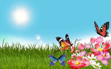Aussaat und Anzucht: Gemüsegarten im Frühling erfolgreich starten
