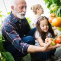 Familiengärten und generationsübergreifende Gartenarbeit: Werte, Wissen und Zusammenhalt