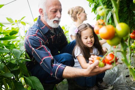 Familiengärten und generationsübergreifende Gartenarbeit: Werte, Wissen und Zusammenhalt