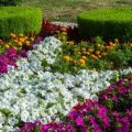 Sicherheitsaspekte: Wie Solar-Gartenbeleuchtung für mehr Schutz sorgt