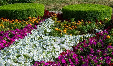 Sicherheitsaspekte: Wie Solar-Gartenbeleuchtung für mehr Schutz sorgt
