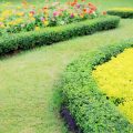 Selbstbewässernde Pflanzgefäße: Nachhaltigkeit und Komfort für den urbanen Garten