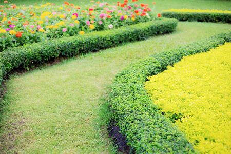 Selbstbewässernde Pflanzgefäße: Nachhaltigkeit und Komfort für den urbanen Garten