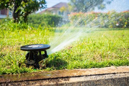 Wassersparende Bewässerung im Garten: Techniken und Innovationen für mehr Nachhaltigkeit