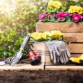 Der perfekte Ziergarten – Frühblüher, Stauden und Auftakt in die Gartensaison