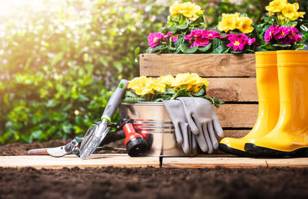 Der perfekte Ziergarten – Frühblüher, Stauden und Auftakt in die Gartensaison