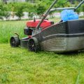 Die richtige Mulchstärke: Erfahrungswerte aus deutschen Gärten