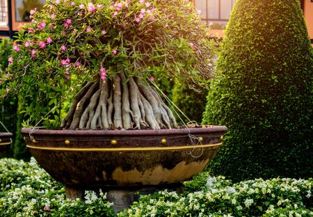 Strukturarbeiten im Winter: Wege, Beete und Gartenarchitektur nachhaltig anlegen