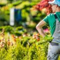 Innovative Gartentechnik: Smarte Geräte für einen modernen Garten