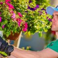 Materialien und Bauweisen für langlebige Wasserelemente im deutschen Garten