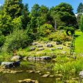 Regionale Unterschiede der Gartenkultur in Deutschland: Ein Vergleich zwischen Nord und Süd