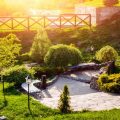 Mulchen im nachhaltigen Gartenbau: Methoden, Materialien und Vorteile für Boden und Pflanzen