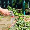 Jahreszeitlicher Kalender: Aussaat, Pflege und Ernte im deutschen Kräutergarten