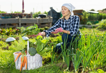 Die besten Möglichkeiten für Sichtschutz im deutschen Garten: Natürliche und künstliche Optionen im Vergleich