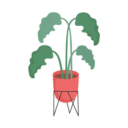 Sichtschutz und Windschutz: Funktionale Aspekte der Hecke