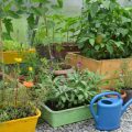 Frühjahrserwachen: Die wichtigsten Gartenarbeiten im Frühling
