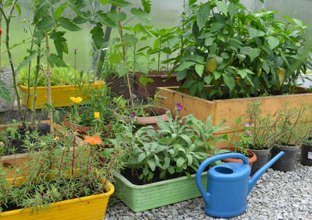 Frühjahrserwachen: Die wichtigsten Gartenarbeiten im Frühling