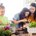 Vom Samen zur Ernte: Projekte zur Förderung naturwissenschaftlicher Kompetenzen bei Kindern im Schulgarten