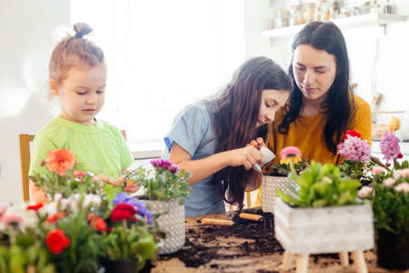 Vom Samen zur Ernte: Projekte zur Förderung naturwissenschaftlicher Kompetenzen bei Kindern im Schulgarten