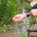 Regentonnen und Zisternen: Nachhaltige Regenwassernutzung im eigenen Garten
