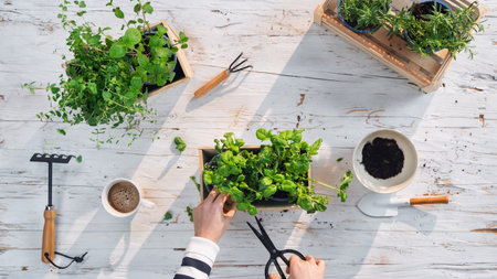 Die Organisation eines Gartenfestes: Planung, Dekoration und Umsetzung