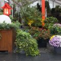 So gelingt die Gartenbeleuchtung mit Solartechnik im deutschen Klima