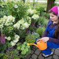 Gemüsegarten in Deutschland: Traditionelle Sorten, Anbaukalender und Pflegetipps