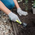 Frühlingsbote auf dem Balkon: Die schönsten Frühjahrsblüher und ihre Pflege