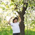 Alte Obstsorten im heimischen Garten: Rettet die Vielfalt mit Kindern