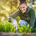 Warum Bienenhotels im Garten? Bedeutung für Artenvielfalt und Umweltbildung