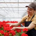Obstbäume und -sträucher im Frühling pflanzen und pflegen: Anleitung für gesunde Erträge