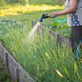 Sicherheitsaspekte bei der Installation von Gartenbeleuchtung in Deutschland