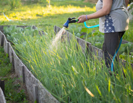 Sicherheitsaspekte bei der Installation von Gartenbeleuchtung in Deutschland
