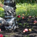 Nachhaltige Schädlingsbekämpfung im deutschen Garten: Biologische Mittel im Praxistest