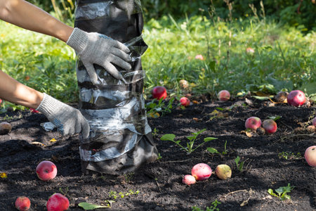 Nachhaltige Schädlingsbekämpfung im deutschen Garten: Biologische Mittel im Praxistest